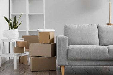 Cardboard boxes with grey sofa, houseplant and stepladder in living room on moving day