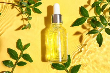 Bottle of serum and plant branches in water on color background