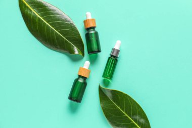 Bottles of serum and plant leaves on color background