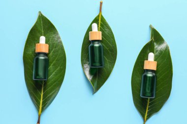 Composition with bottles of serum and plant leaves on color background