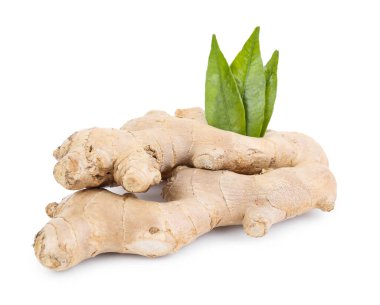 Fresh ginger roots and leaves on white background