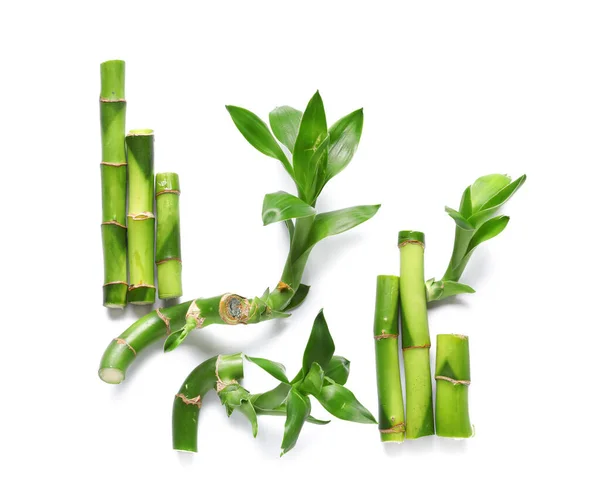 Green Bamboo Stems Isolated White Background — Stock Photo, Image