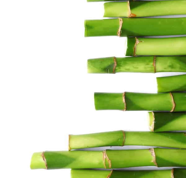 Green Bamboo Stems Isolated White Background Closeup — Stock Photo, Image