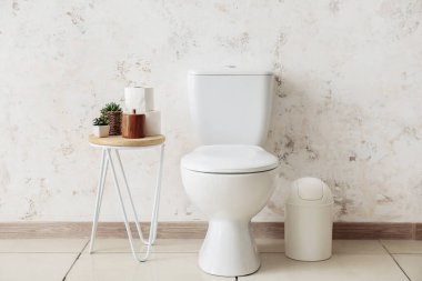 Table with houseplants, paper rolls, toilet bowl and bin near light wall
