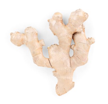 Beyaz arka plan üzerinde taze zencefil kökü