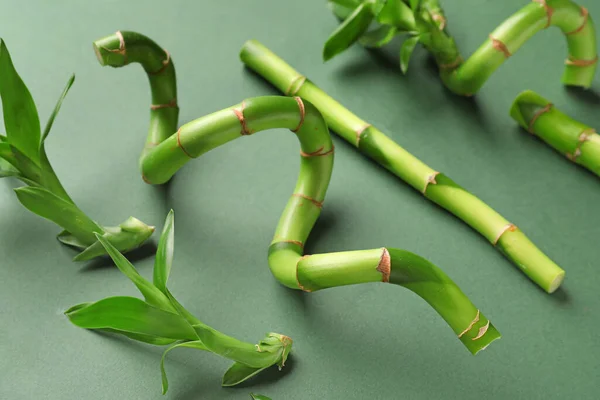 Composition Fresh Bamboo Stems Green Background Closeup — Fotografia de Stock