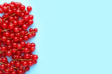 Heap of ripe red currant on color background