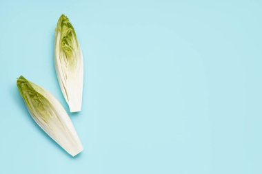 Cut bunch of fresh endive on color background