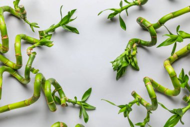 Bamboo stems on grey background, closeup