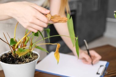Woman with wilted houseplant writing in clipboard at home, closeup