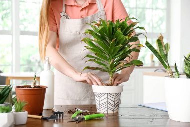 Woman with wilted houseplant at home