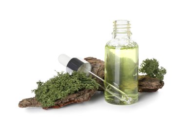 Cosmetic dropper bottle, tree bark and green moss on white background