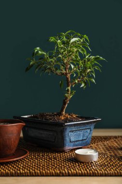 Table with Bonsai tree, candle and cup of beverage on dark background