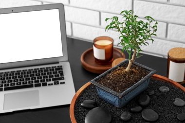 Stand with Bonsai tree, spa stones, candles and laptop on table near white brick wall