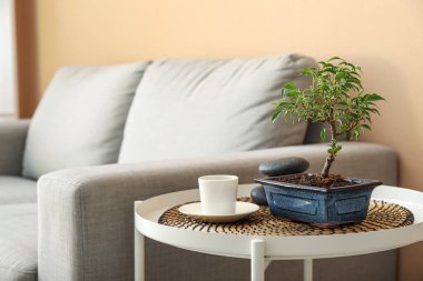 Bonsai tree, cup of coffee and spa stones on table in living room