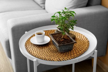 Bonsai tree, cup of coffee and spa stones on table in living room