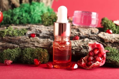 Cosmetic dropper bottle with green moss, pomegranate and tree bark on red background, closeup