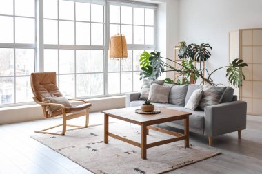 Interior of modern living room with grey sofa, armchair and palm tree