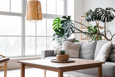 Interior of modern living room with grey sofa, table and houseplants