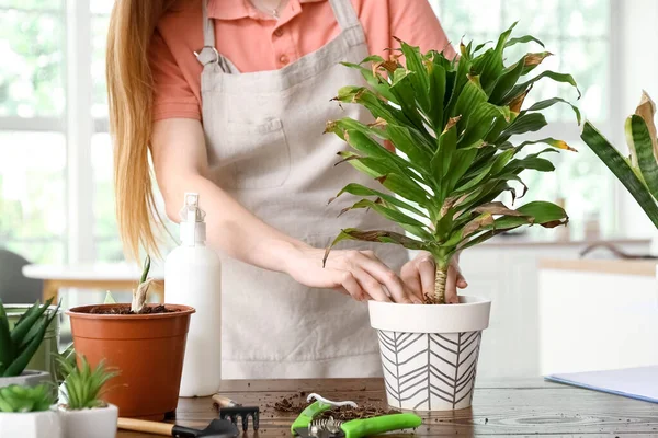 Woman with wilted houseplant at home