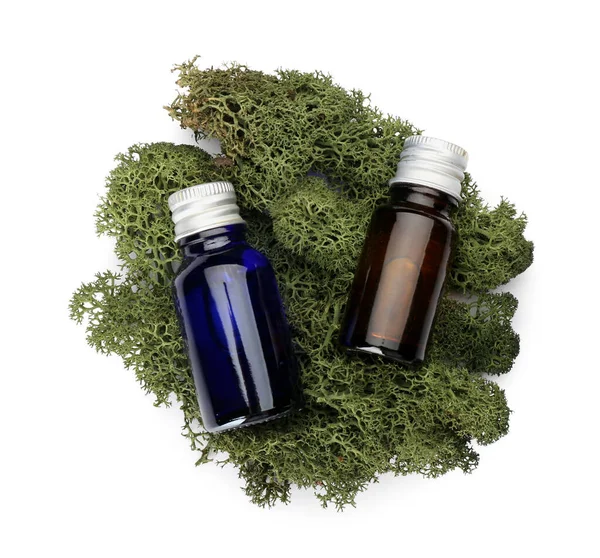 Bottles of cosmetic product with green moss on white background