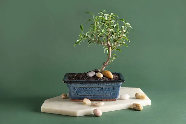 Board Bonsai Tree Pebbles Green Background — Stock Photo, Image