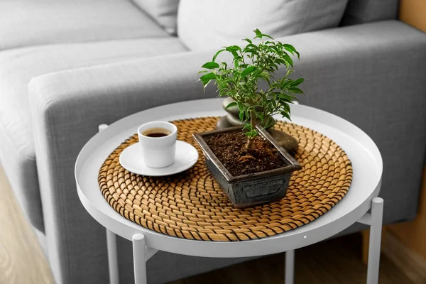 Bonsai tree, cup of coffee and spa stones on table in living room