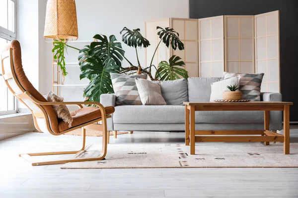 Interior Modern Living Room Grey Sofa Armchair Palm Tree — Stock Photo, Image