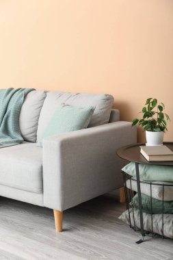 Table with houseplant, book, cushions and grey sofa near beige wall