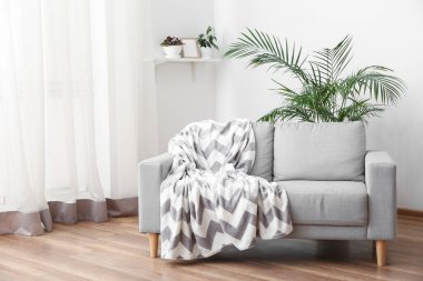 Grey sofa with plaid and houseplants in light living room