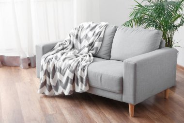 Grey sofa with plaid and palm tree in light living room