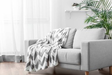 Grey sofa with plaid and houseplants in light living room