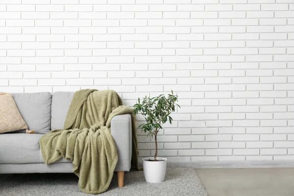 Grey sofa with plaid and houseplant near white brick wall