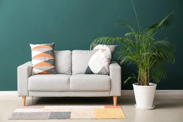Grey sofa with cushions and palm tree near green wall