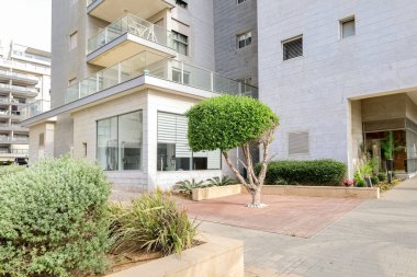 View of city yard with small green tree