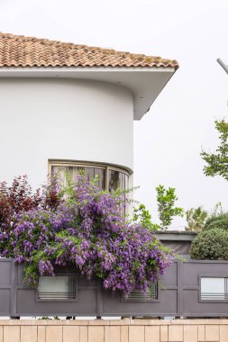 View of modern fence with purple flowers on city street