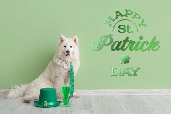 Cute dog with green necktie, hat and beer near green wall. St. Patrick's Day celebration