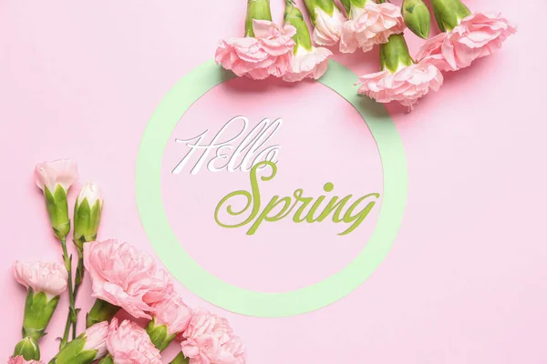 Composition Beautiful Flowers Text Hello Spring Pink Background — Zdjęcie stockowe