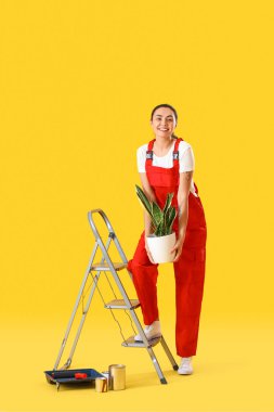 Young woman with houseplant, ladder and paint cans on yellow background