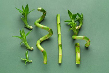 Composition with fresh bamboo stems on green background