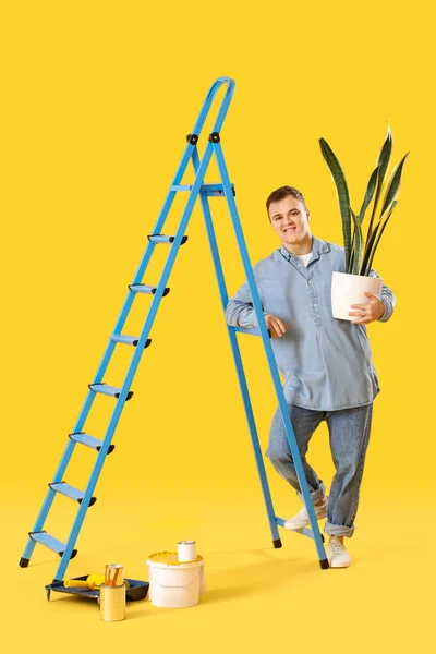 Young Man Houseplant Ladder Cans Paint Yellow Background — Stockfoto