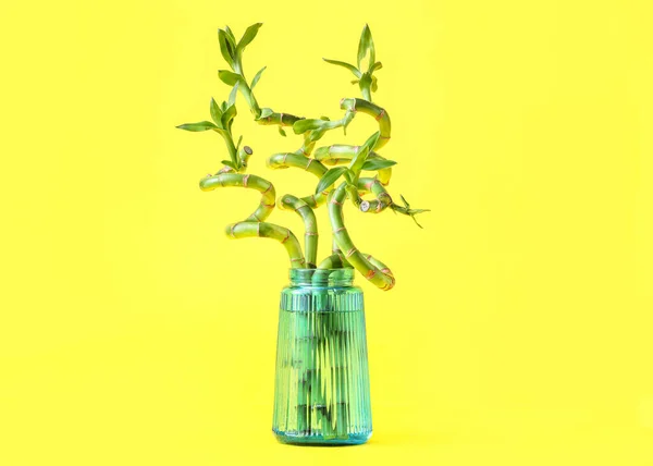 Vase Bamboo Branches Yellow Background — 图库照片