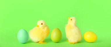 Yeşil arka planda şirin sarı tavuklar ve Paskalya yumurtaları.