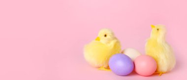 Şirin sarı tavuklar ve pembe arka planda paskalya yumurtaları.