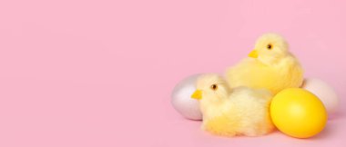 Şirin sarı tavuklar ve pembe arka planda paskalya yumurtaları.