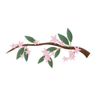 Tree branch with pink flowers and green leaves on white background