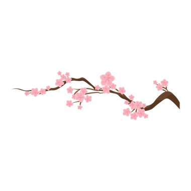 Tree branch with pink flowers on white background