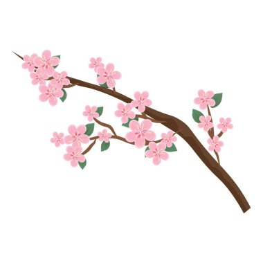 Tree branch with pink flowers on white background