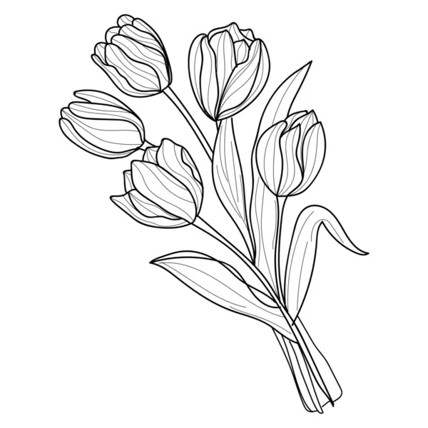 Beyaz arka planda lale çiçeği buketi