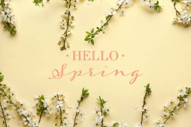 Beautiful blooming branches and text HELLO, SPRING on beige background